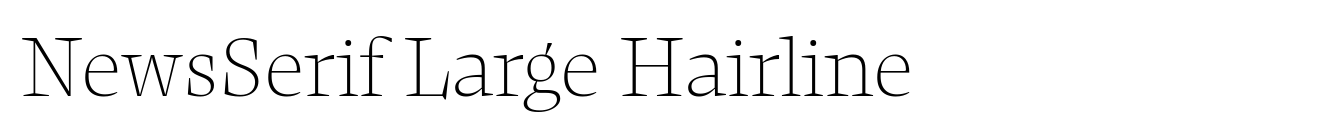 NewsSerif Large Hairline image